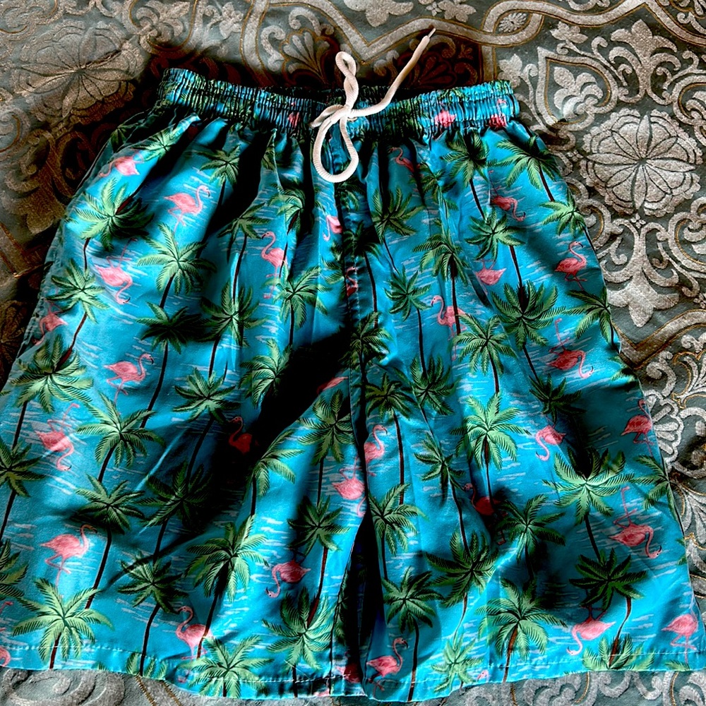 Lightly worn beach shorts (large)